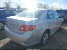 Toyota Corolla Le Image 12