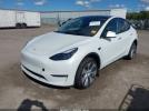 Tesla Model Y Image 6