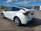Tesla Model Y Image 5