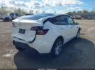 Tesla Model Y Image 3