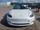 Tesla Model Y Image 2
