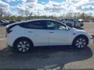 Tesla Model Y Image 15