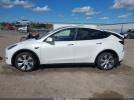 Tesla Model Y Image 12