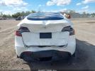 Tesla Model Y Image 13