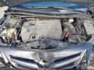 Toyota Corolla S Image 12