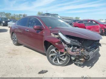  Salvage Honda Accord
