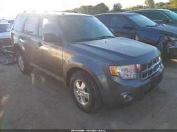  Salvage Ford Escape