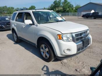  Salvage Ford Escape
