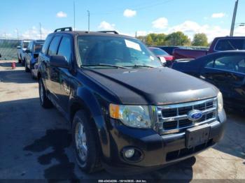  Salvage Ford Escape