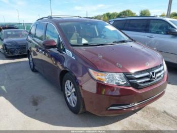  Salvage Honda Odyssey