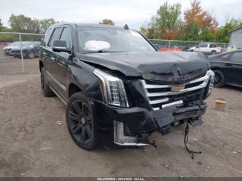  Salvage Cadillac Escalade