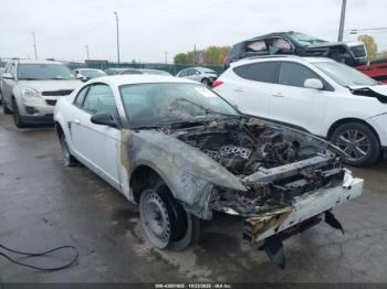  Salvage Ford Mustang