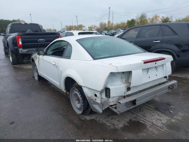 Ford Mustang Image 2