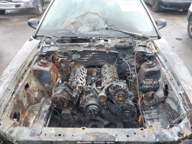 Ford Mustang Image 7