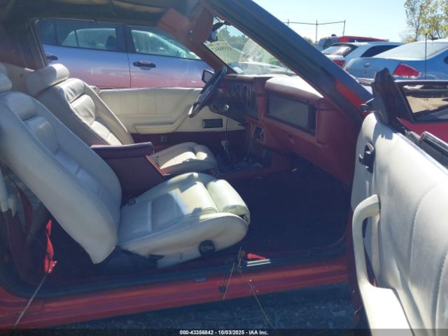 Ford Mustang Image 3