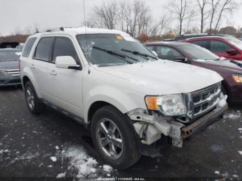  Salvage Ford Escape
