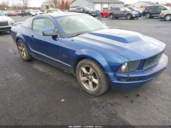  Salvage Ford Mustang