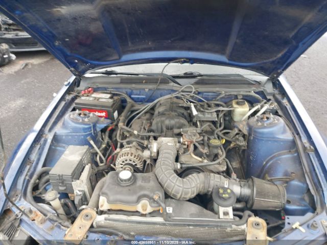 Ford Mustang V6 Image 3