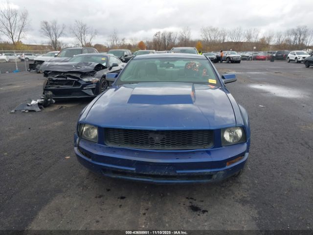 Ford Mustang V6 Image 5