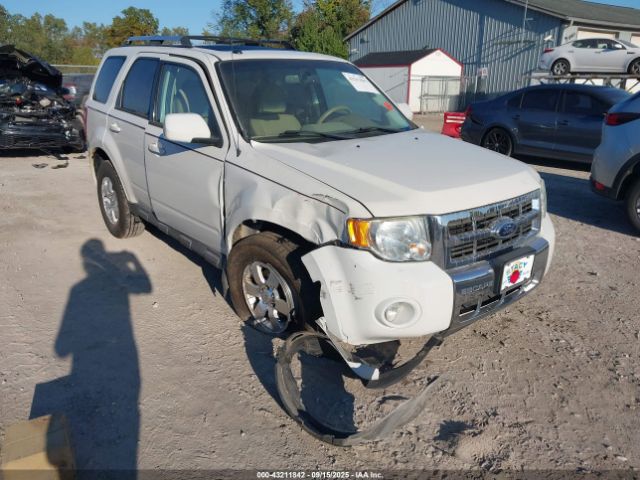 Ford Escape Limited Image 1