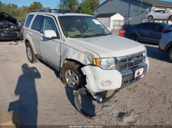  Salvage Ford Escape