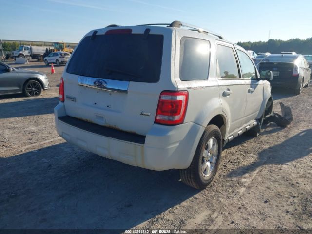 Ford Escape Limited Image 4