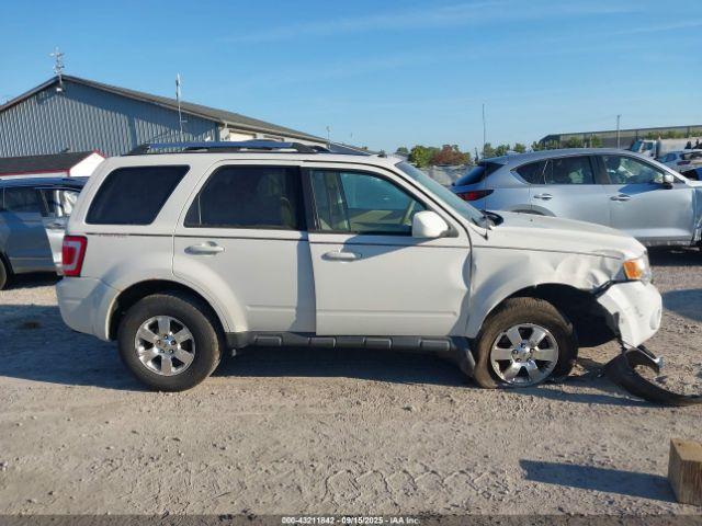 Ford Escape Limited Image 9