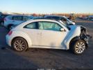 Volkswagen Beetle 2.0t Se Image 13