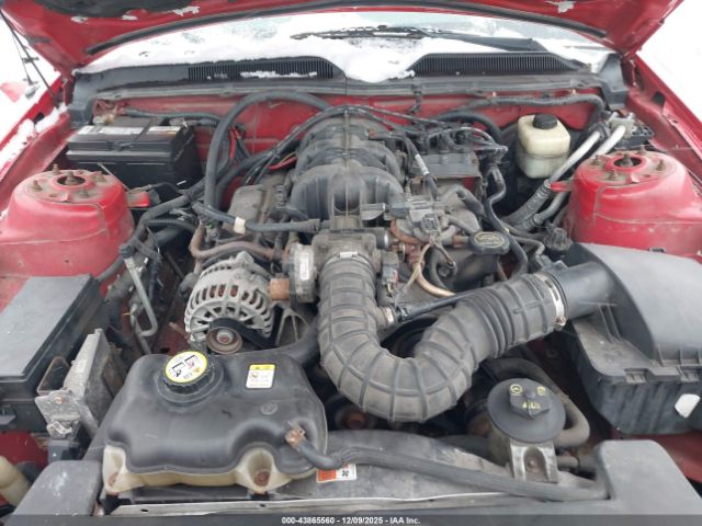 Ford Mustang V6 Deluxe Image 7