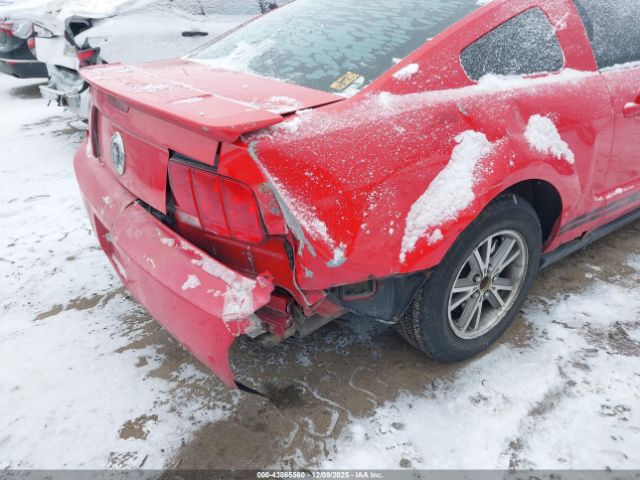 Ford Mustang V6 Deluxe Image 12