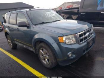  Salvage Ford Escape