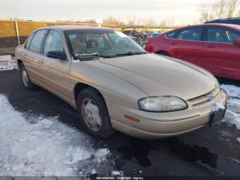  Salvage Chevrolet Lumina