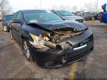  Salvage Nissan Maxima