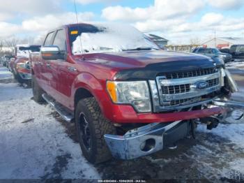  Salvage Ford F-150