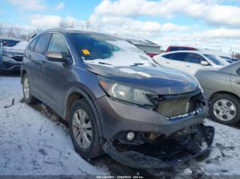  Salvage Honda CR-V