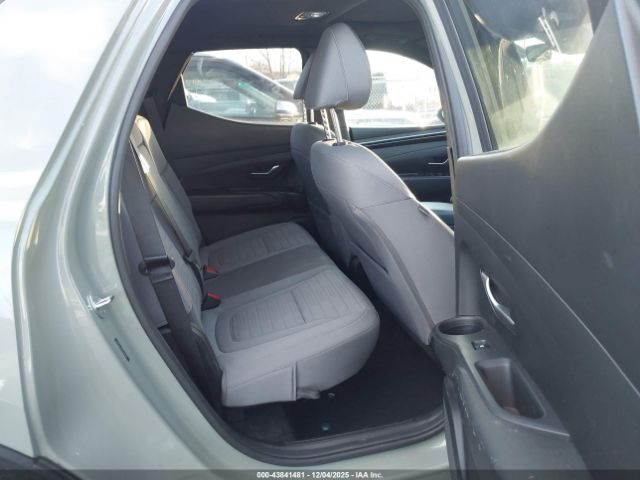 Hyundai SANTA CRUZ Sel Image 6