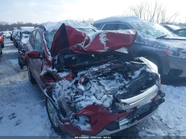 Ford Escape Se Image 7