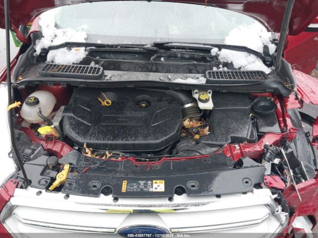 Ford Escape Titanium Image 9