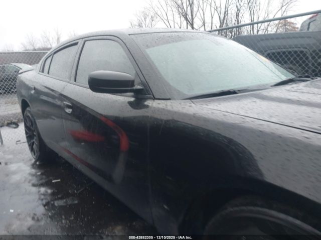 Dodge Charger Sxt Rwd Image 13