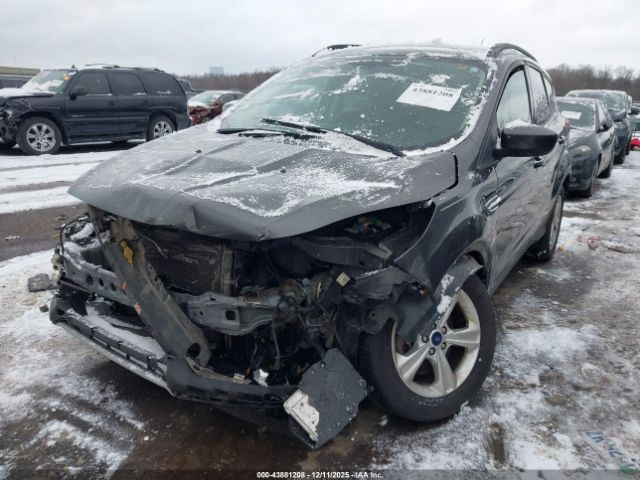 Ford Escape Se Image 6