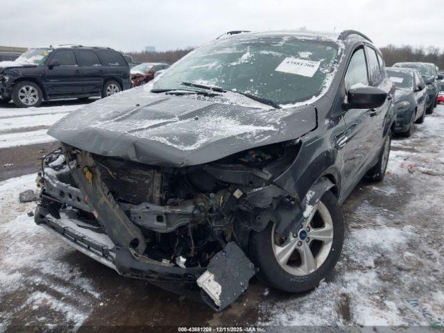 Ford Escape Se Image 6