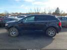 Ford Edge Limited Image 10