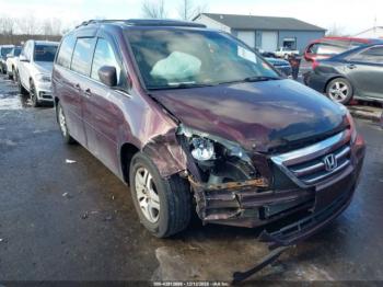  Salvage Honda Odyssey