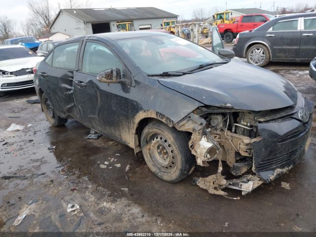 Toyota Corolla Le Image 7