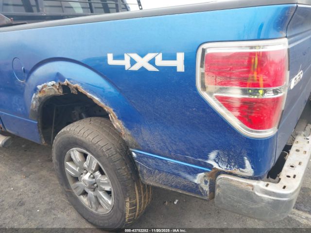 Ford F-150 Xlt Image 7