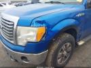 Ford F-150 Xlt Image 3
