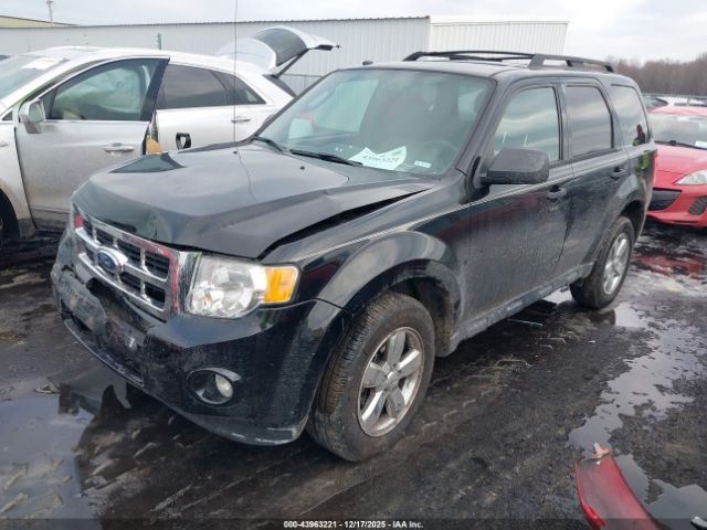 Ford Escape Xlt Image 14