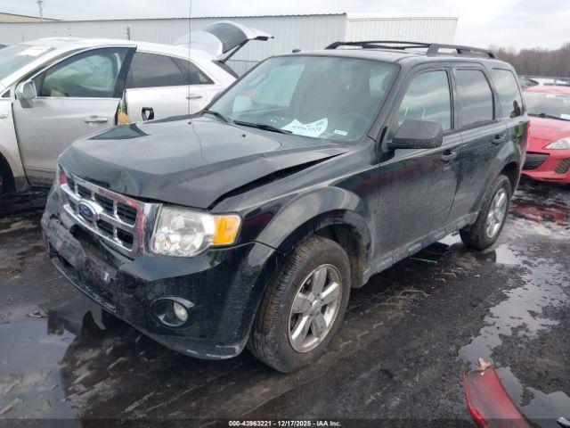 Ford Escape Xlt Image 14