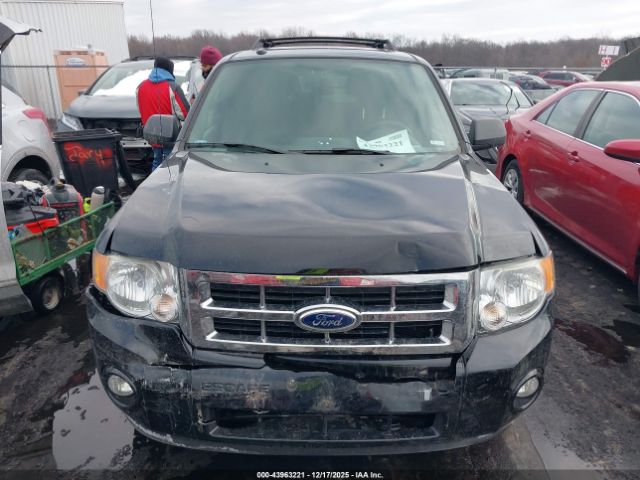 Ford Escape Xlt Image 4