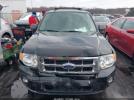 Ford Escape Xlt Image 4